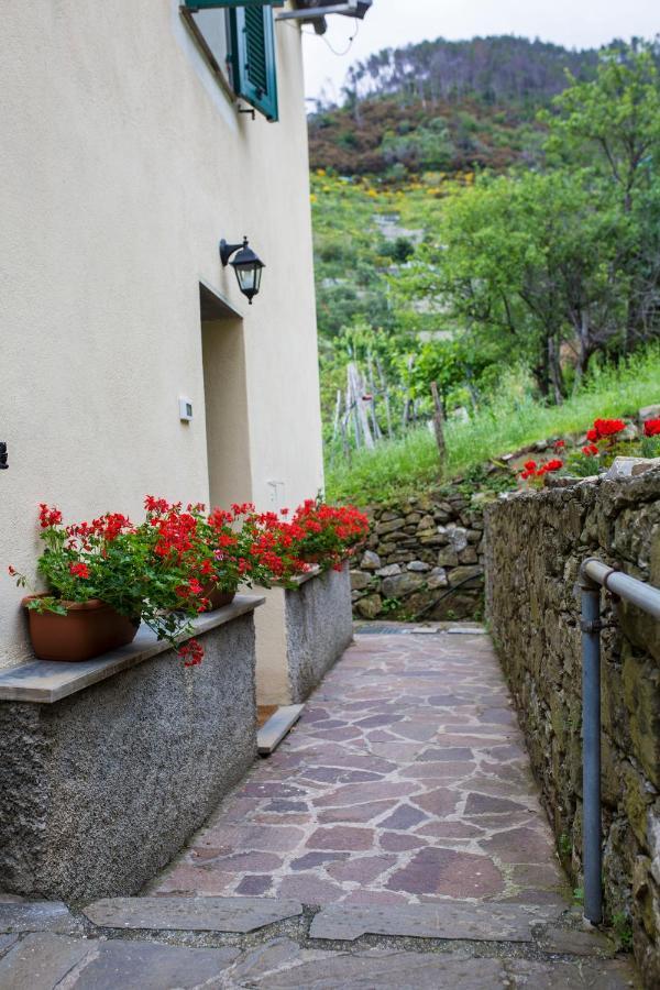 Casa Vacanze Tra Le Mura Levanto Luaran gambar