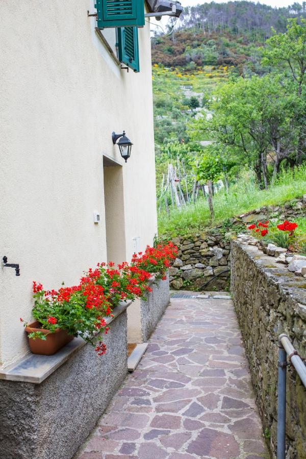 Casa Vacanze Tra Le Mura Levanto Luaran gambar