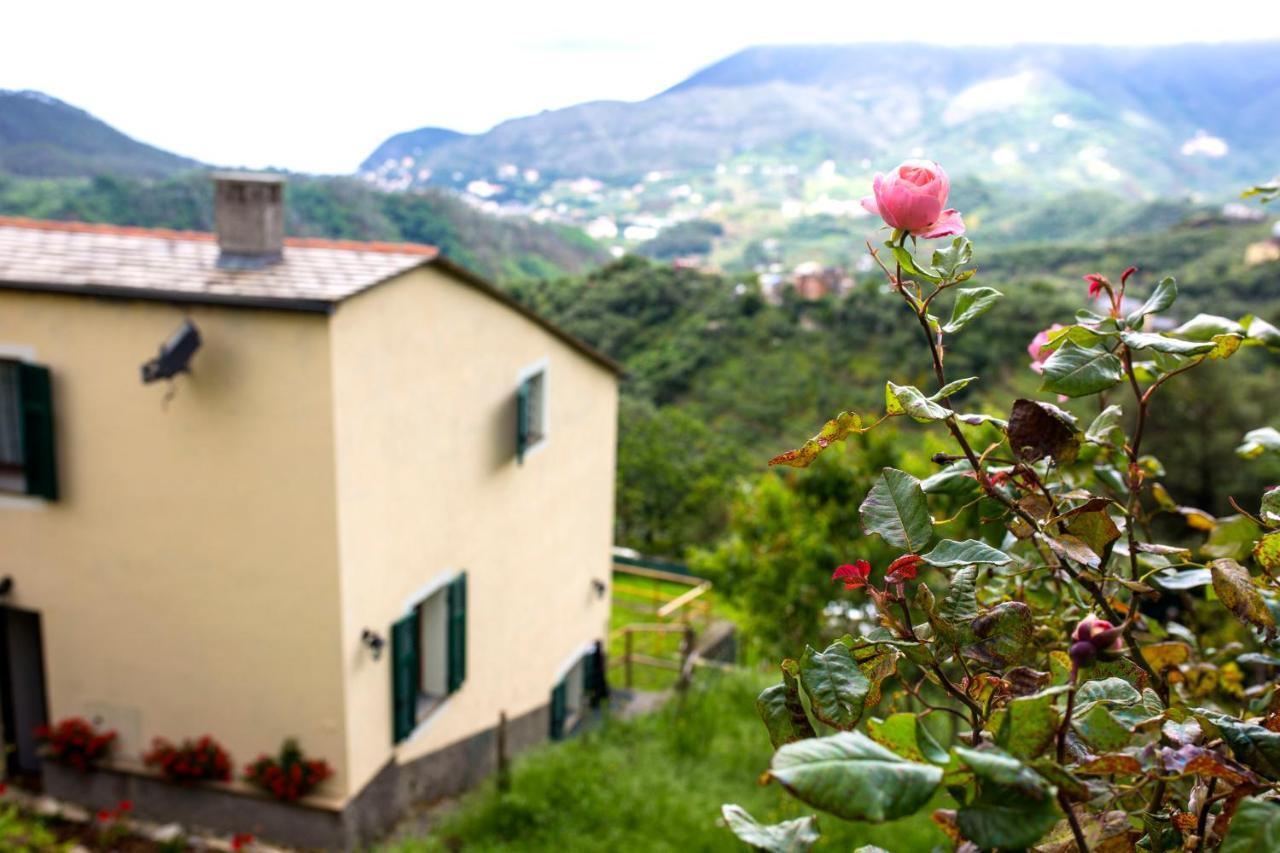 Casa Vacanze Tra Le Mura Levanto Luaran gambar